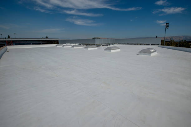 Best Sheet Metal Roofing  in Squaw Valley, CA