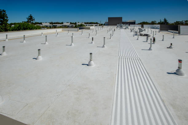 Best Skylight Installation and Repair  in Squaw Valley, CA